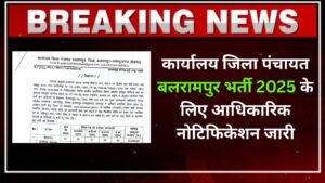 Zila Panchayat Balrampur Recruitment 2025